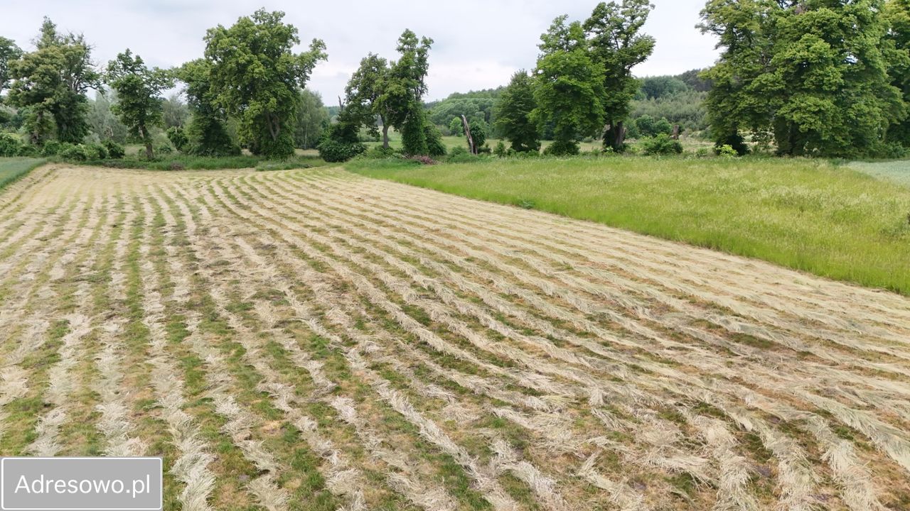 Działka rolno-budowlana Głazów. Zdjęcie 9