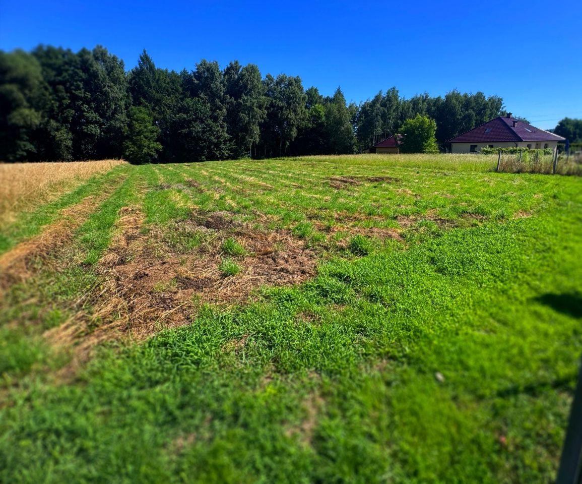 Działka budowlana Koszyce Małe, ul. Wesoła. Zdjęcie 4