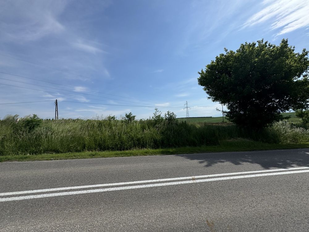 Działka rolna Żurawica Bażantarnia. Zdjęcie 6