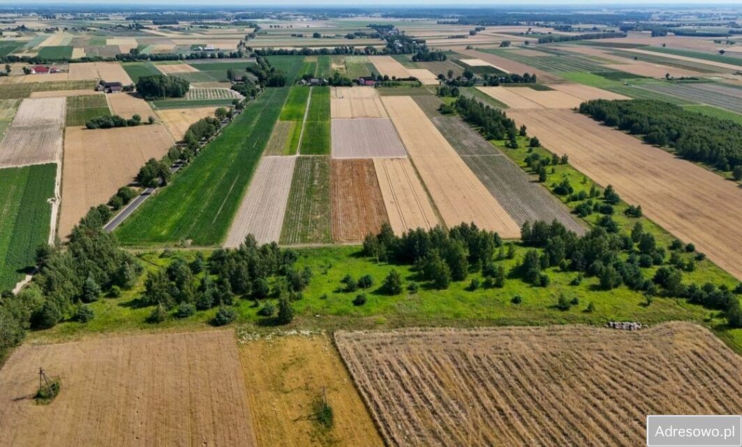 Działka rolno-budowlana Złotopolice