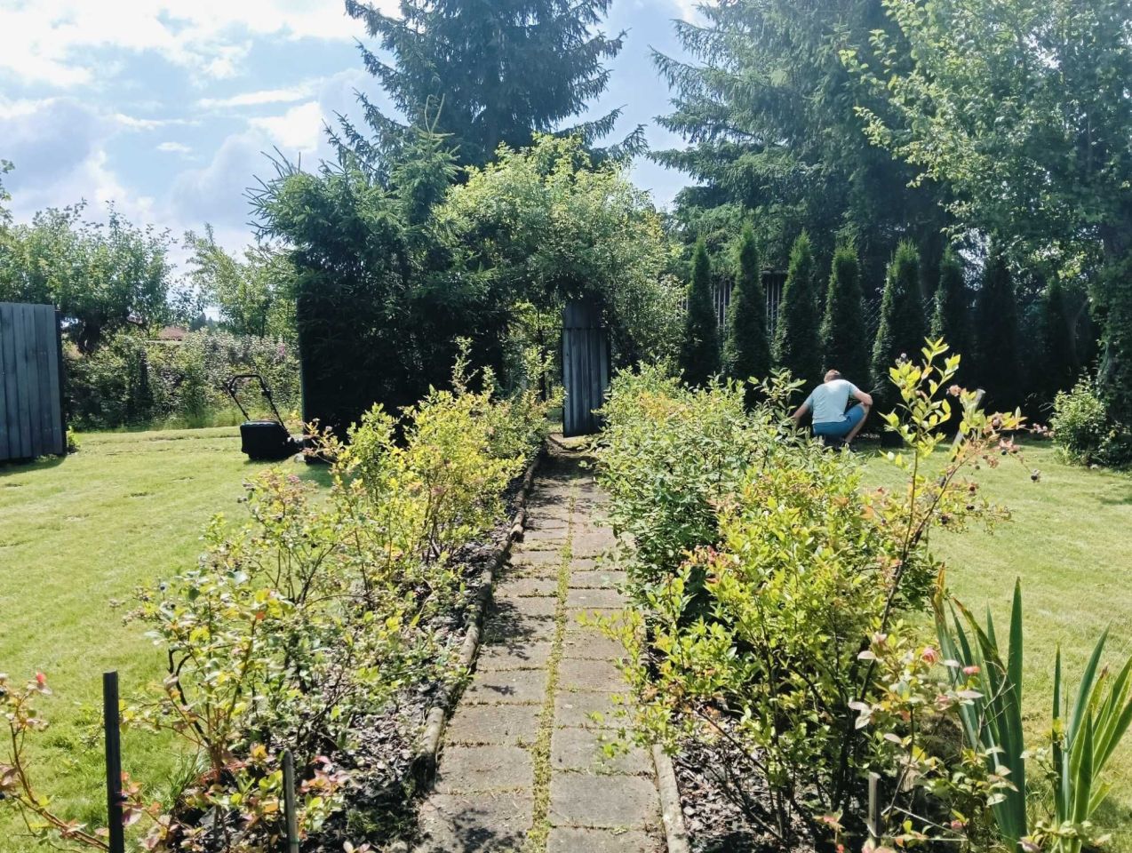 Działka rod Klebark Mały. Zdjęcie 3