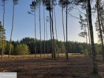 Działka rekreacyjna Rogóźno. Zdjęcie 3