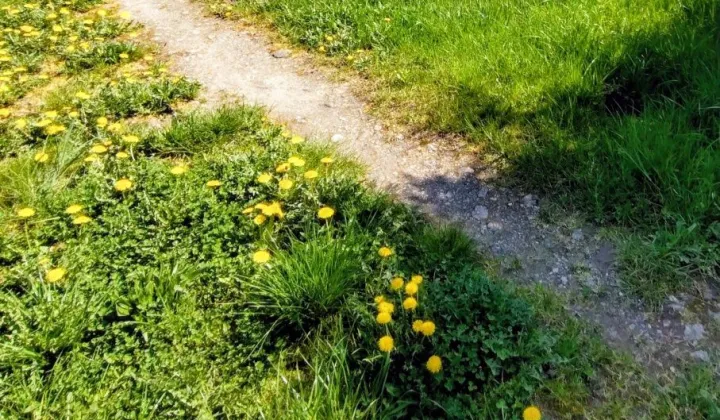 Działka budowlana Ustronie Morskie