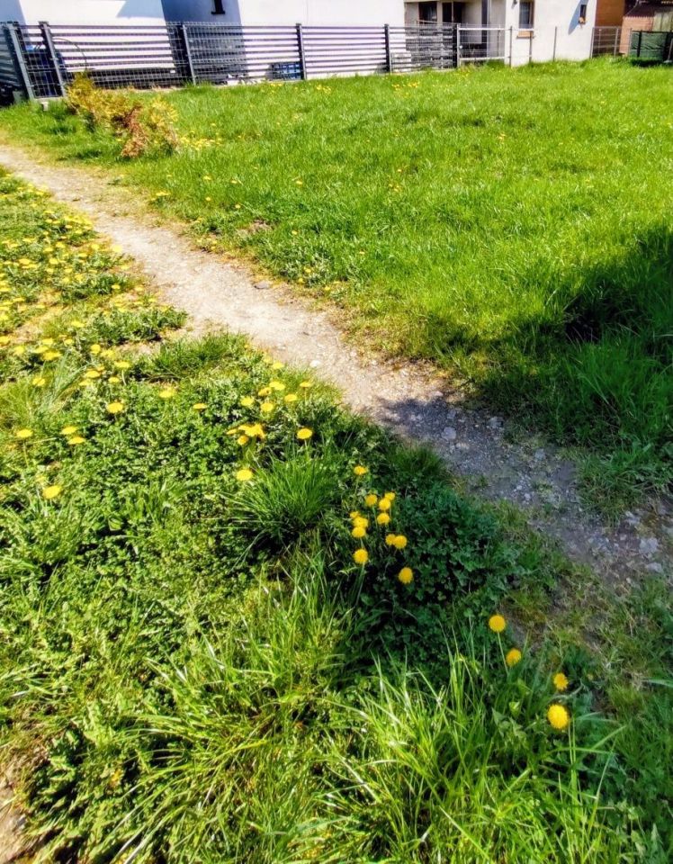 Działka budowlana Ustronie Morskie. Zdjęcie 1