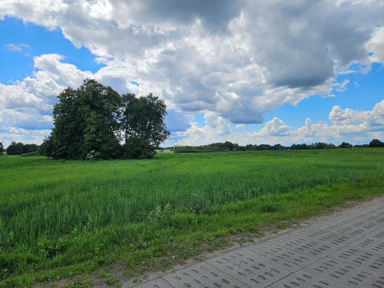 Działka rolno-budowlana Mościska, Wybudowania. Zdjęcie 8