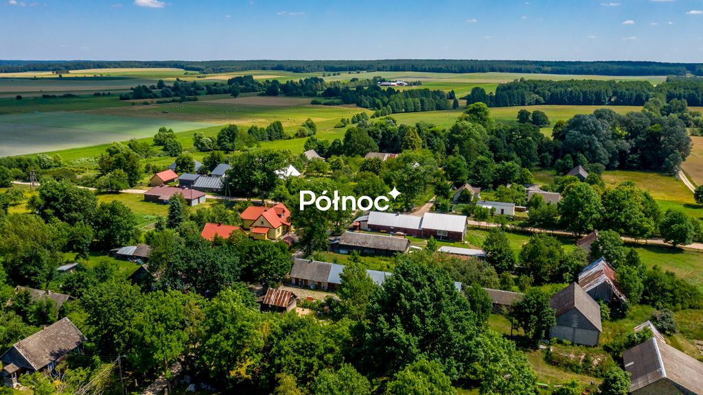 Działka rolna Mieleszki-Kolonia. Zdjęcie 15