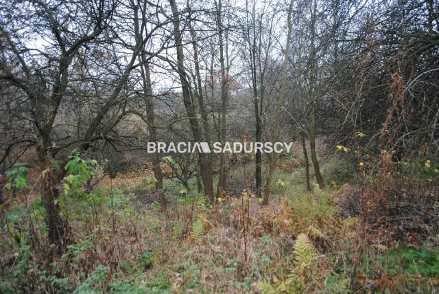 Działka rolna Libertów. Zdjęcie 10
