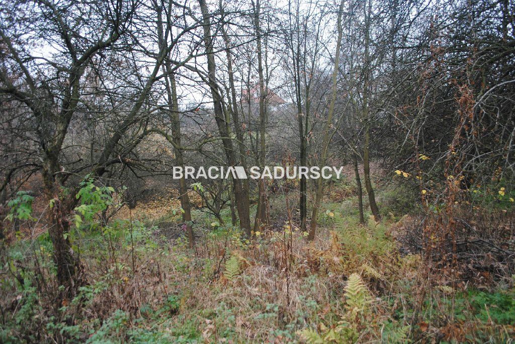 Działka rolna Libertów. Zdjęcie 10