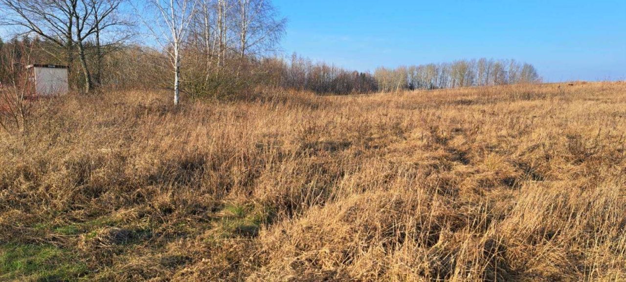 Działka budowlana Sędki. Zdjęcie 6