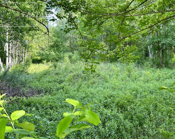 Działka budowlana Góra Kalwaria Marianki, ul. Walewicka. Zdjęcie 5