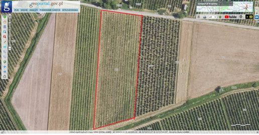 Działka rolna Skotniki, Skotniki. Zdjęcie 1