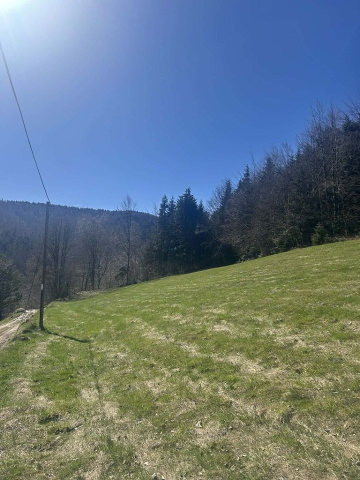 Działka rolna Żmiąca. Zdjęcie 4