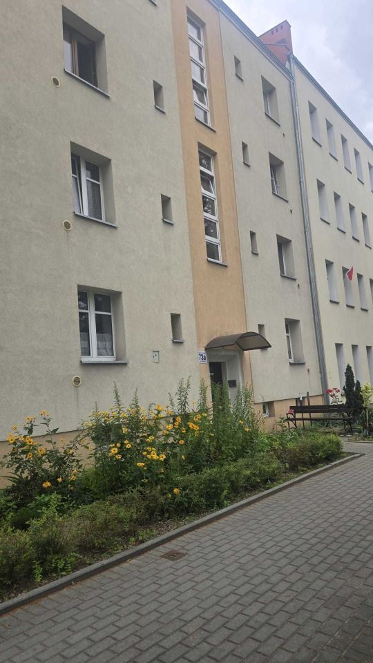 Mieszkanie 2-pokojowe Głogów. Zdjęcie 8