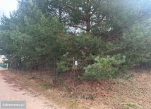 Działka budowlana Głuszynek. Zdjęcie 4