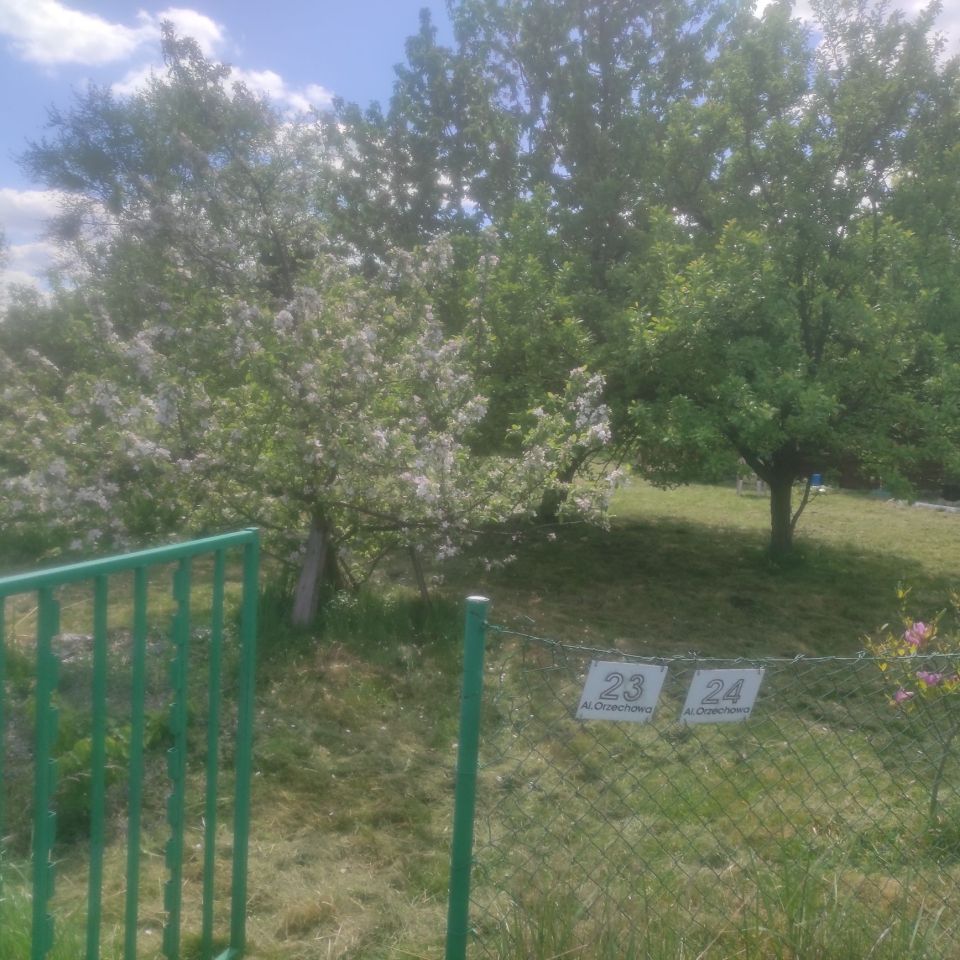 Działka rod Gliwice Łabędy. Zdjęcie 7