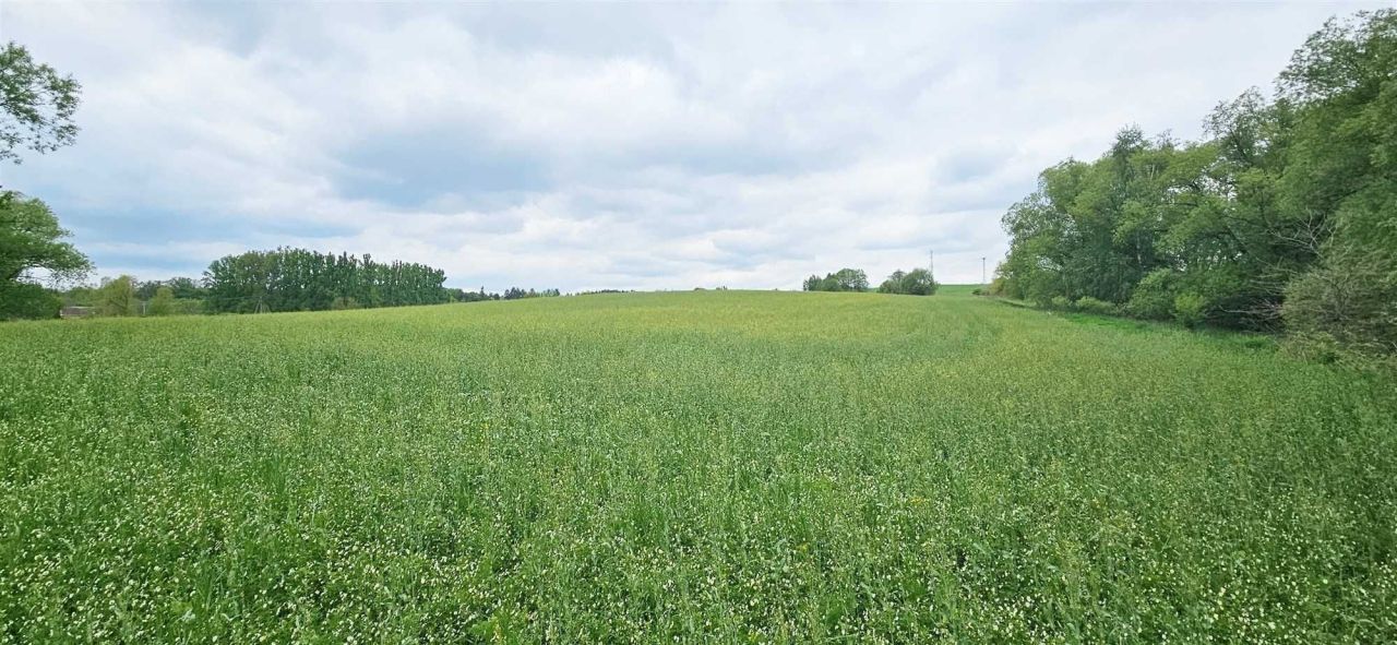 Działka budowlana Dziećmorowice