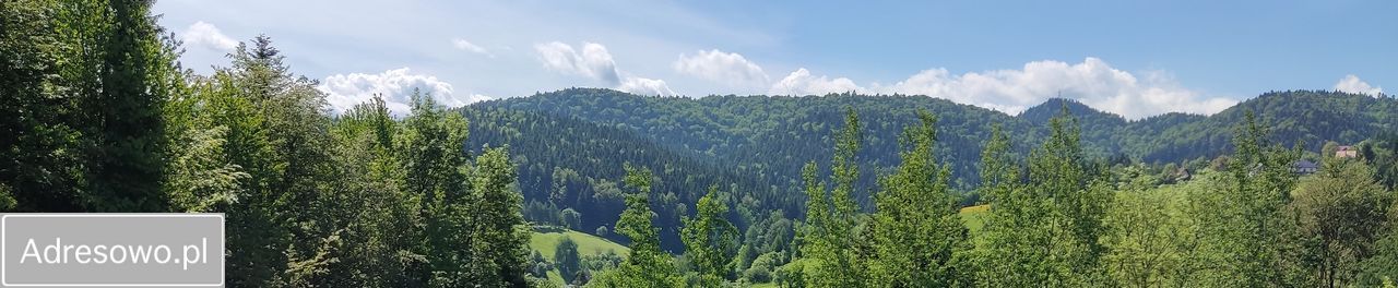 dom wolnostojący, 8 pokoi Grywałd, ul. Pod Tylką. Zdjęcie 4