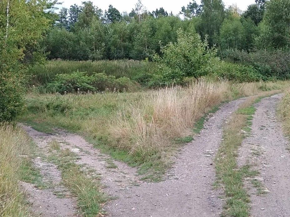 Działka budowlana Kudowa-Zdrój. Zdjęcie 6