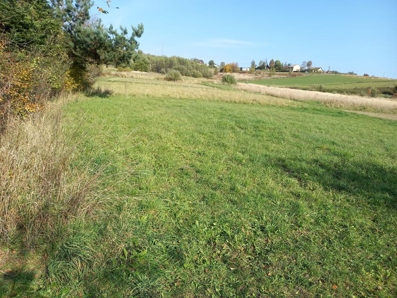 dom wolnostojący, 2 pokoje Sadki. Zdjęcie 9