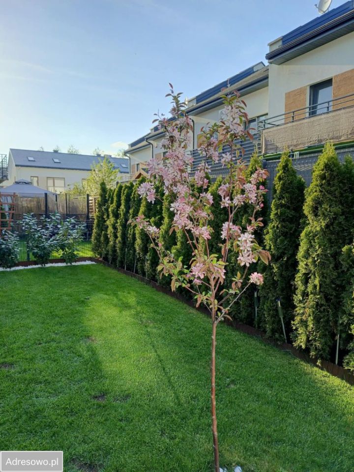 dom szeregowy Radzymin. Zdjęcie 7