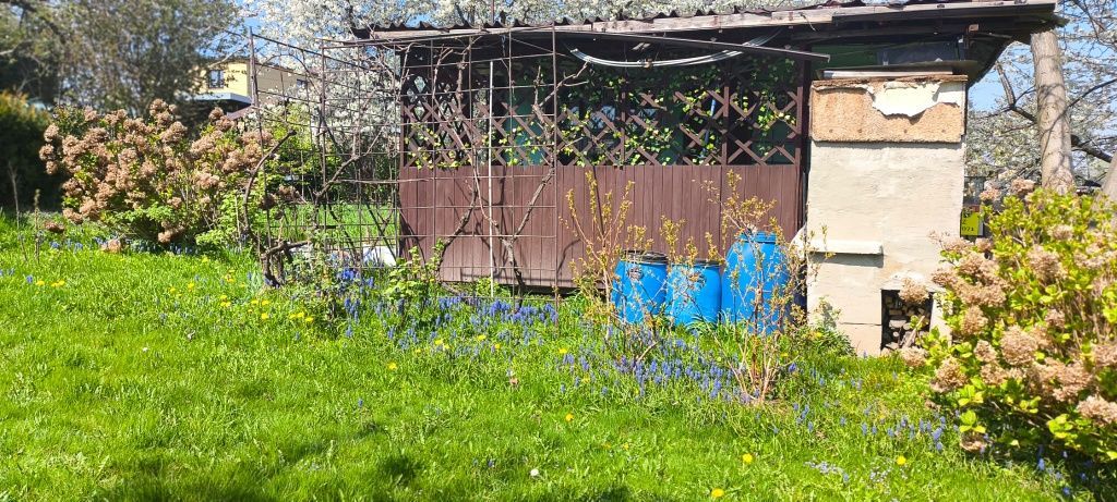 Działka rod Bielsko-Biała, ul. Bukowa. Zdjęcie 5