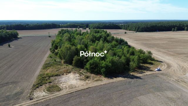 Działka inwestycyjna Dąbrowa Bolesławiecka. Zdjęcie 12