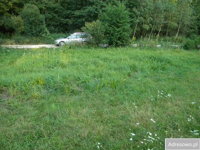 Działka budowlana Wielopole Skrzyńskie. Zdjęcie 3