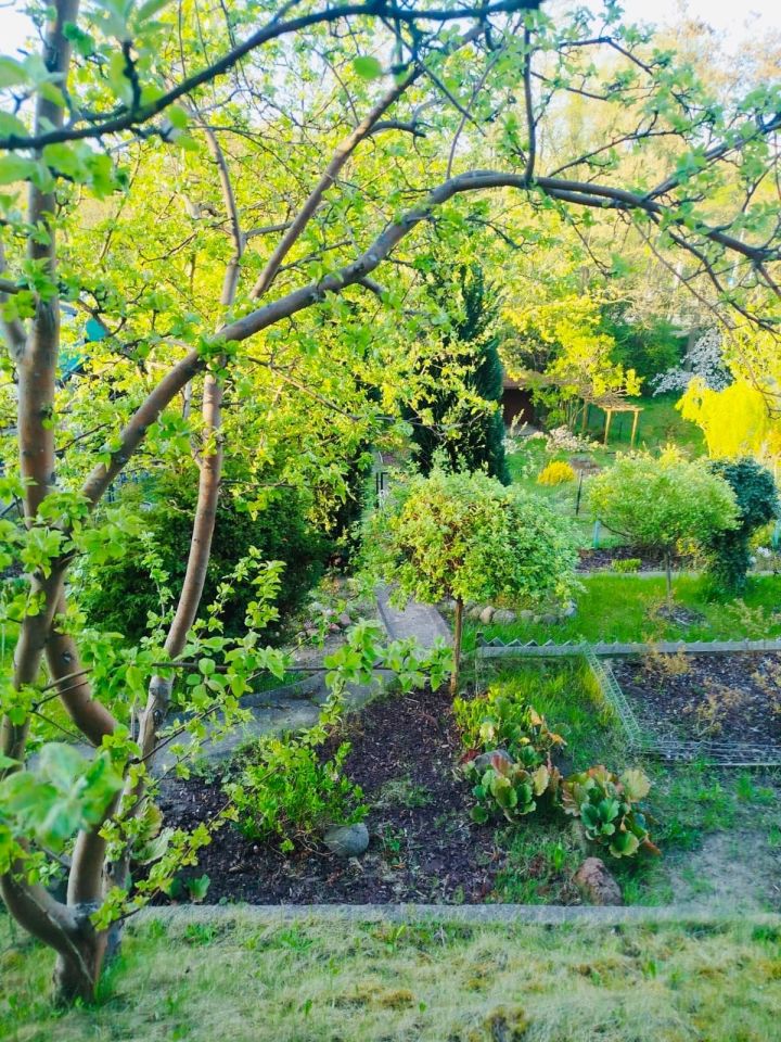 Działka rod Gdańsk Morena. Zdjęcie 7