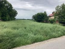 Działka rolno-budowlana Kierz