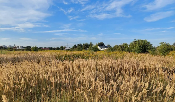 Działka rolna Opacz-Kolonia, ul. Zofii