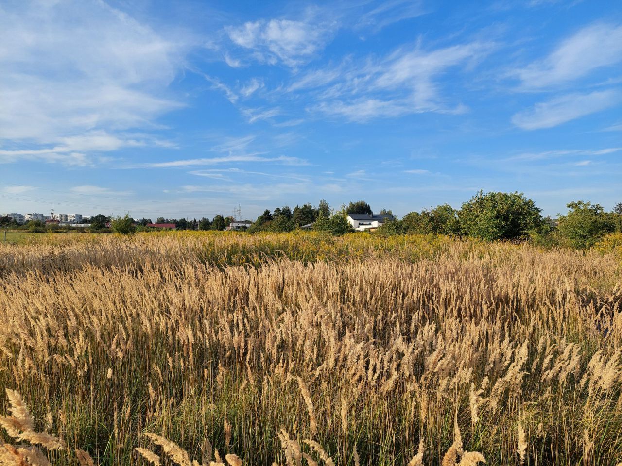 Działka rolna Opacz-Kolonia, ul. Zofii