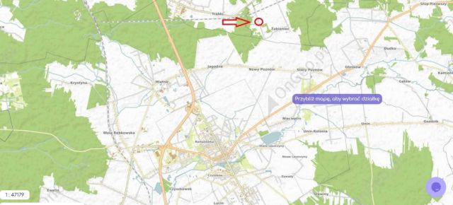 Działka rolno-budowlana Żabieniec. Zdjęcie 1