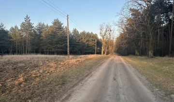 Działka budowlana Potasze, ul. Sosnowa