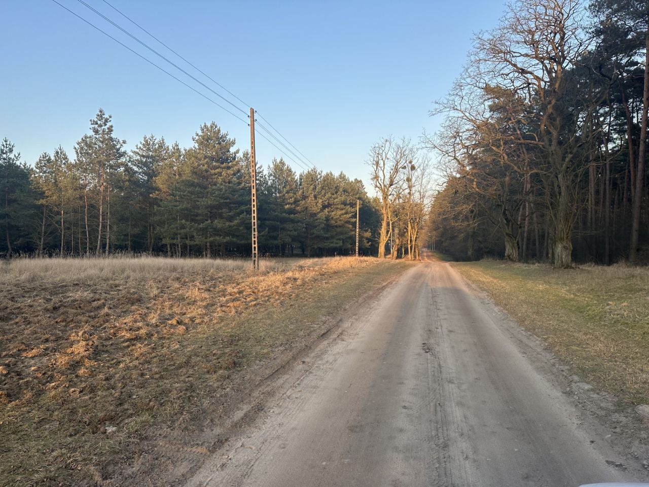 Działka budowlana Potasze, ul. Sosnowa. Zdjęcie 2