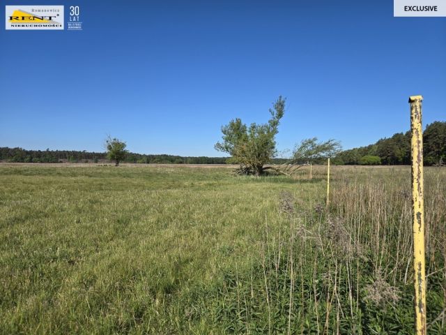 Działka rolna Szczecin. Zdjęcie 2