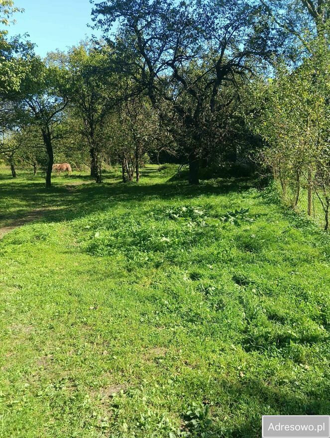 Działka siedliskowa Osiek. Zdjęcie 8