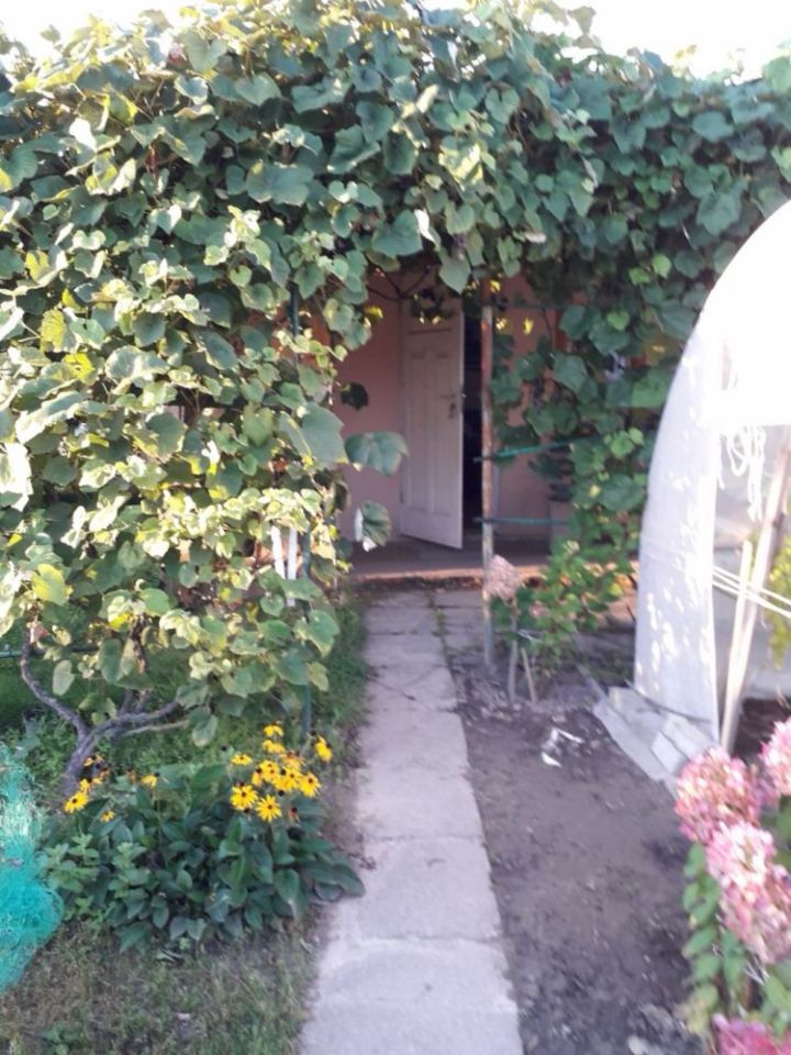 Działka rod Gorzów Wielkopolski, ul. Srebrna. Zdjęcie 8