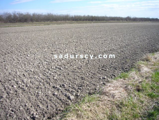 Działka inwestycyjna Nowa Wola. Zdjęcie 2