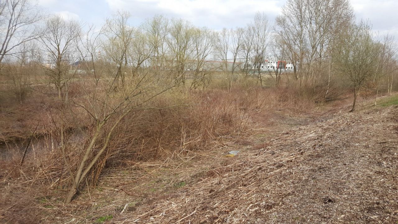 Działka inna Kaniów. Zdjęcie 4