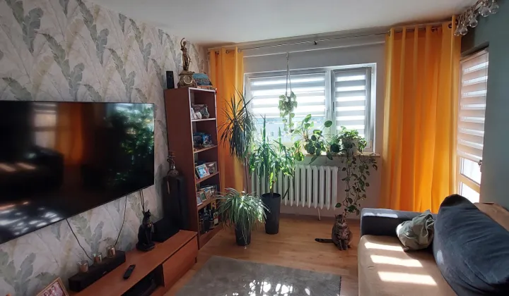 Mieszkanie 4-pokojowe Płock, ul. 3 Maja