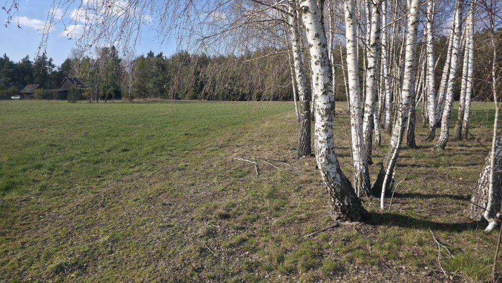 Działka budowlana Jeziorno. Zdjęcie 6