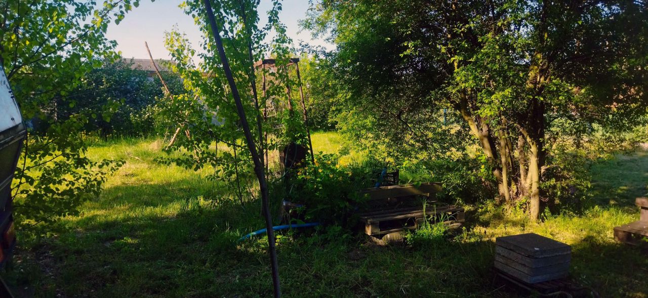 Działka rod Gdańsk Stogi, ul. Wosia Budzysza. Zdjęcie 14
