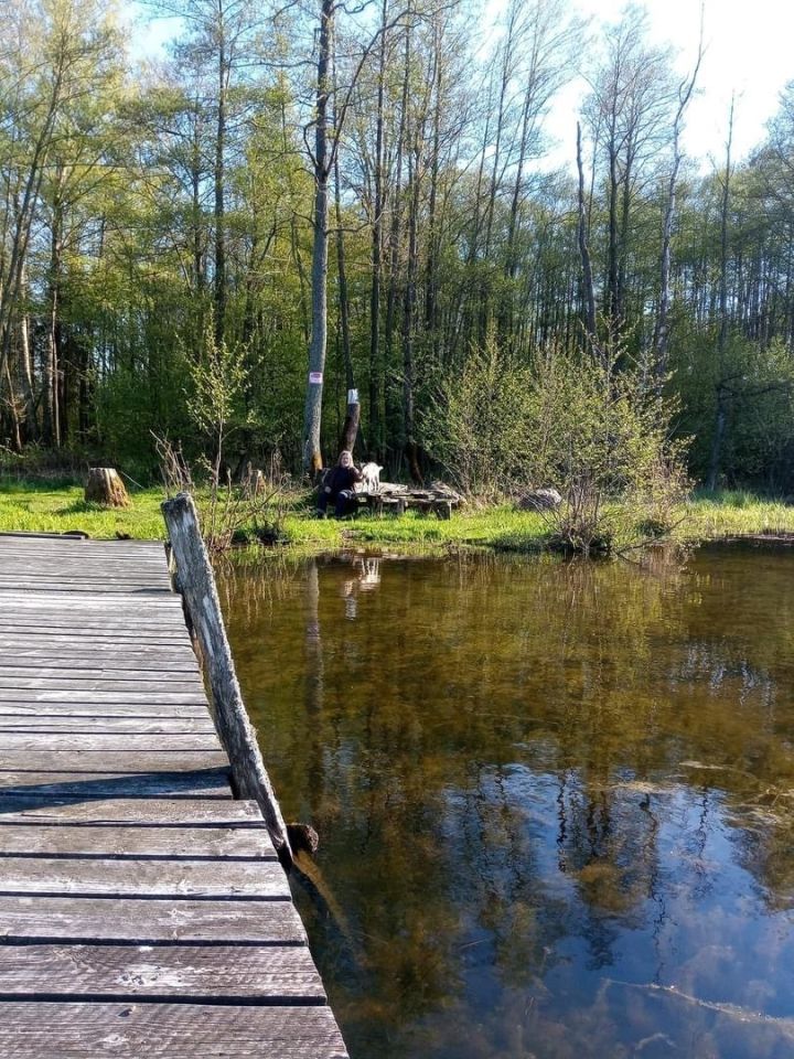 Działka rolna Donatowo. Zdjęcie 3