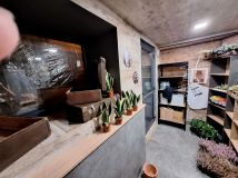 Lokal Wałbrzych Nowe Miasto, ul. marsz. Józefa Piłsudskiego. Zdjęcie 4