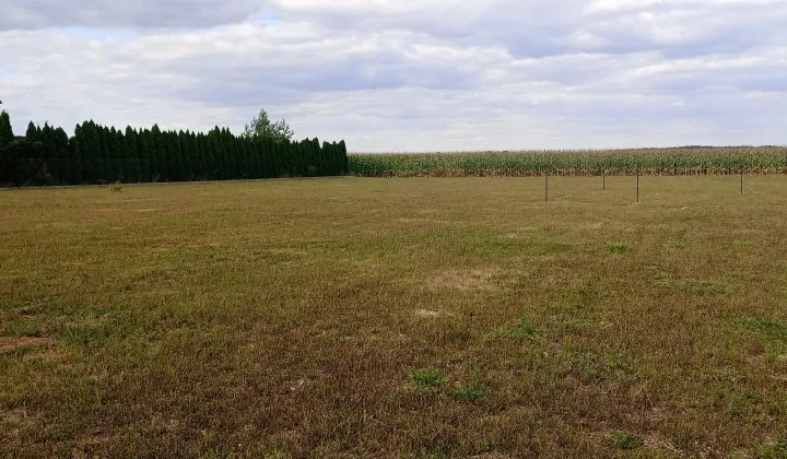 Działka budowlana Winnica, ul. Warszawska