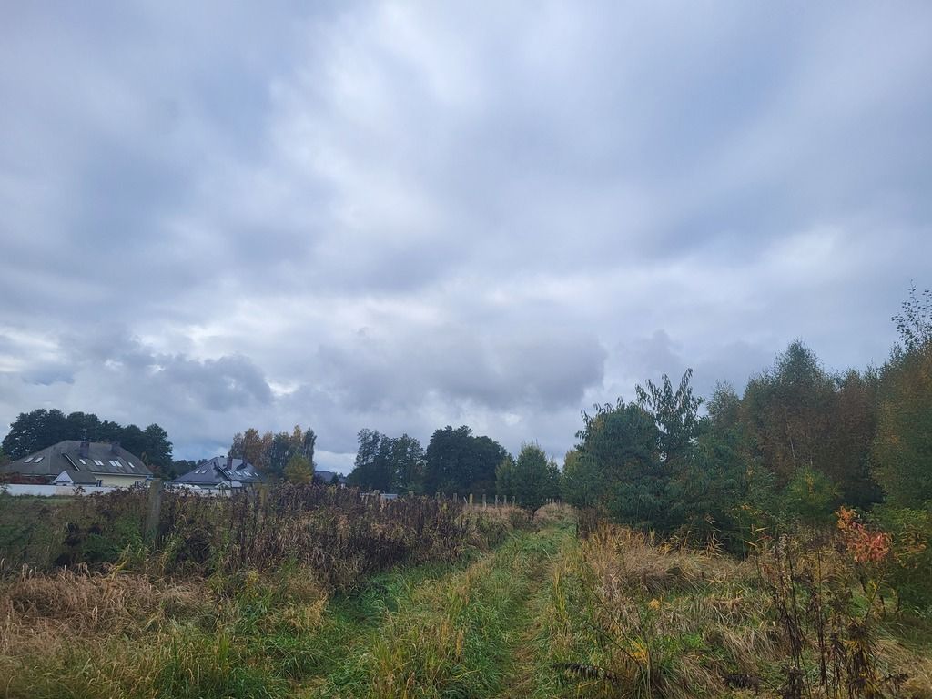 Działka Dobra. Zdjęcie 6