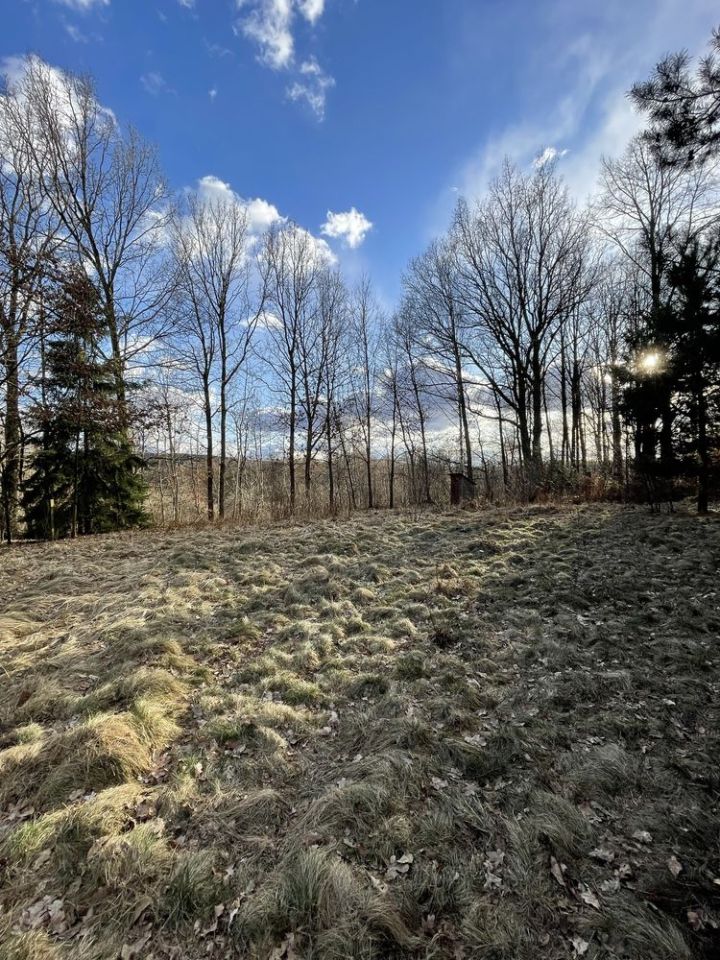 Działka rolno-budowlana Umer. Zdjęcie 4