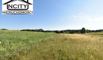 Działka rolna Zła Wieś