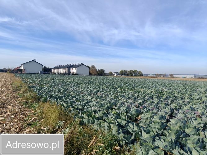 Działka rolna Ołtarzew, ul. Duchnicka. Zdjęcie 6