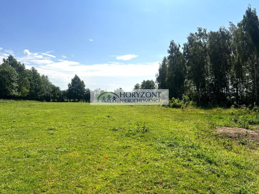 Działka Rybaki. Zdjęcie 4